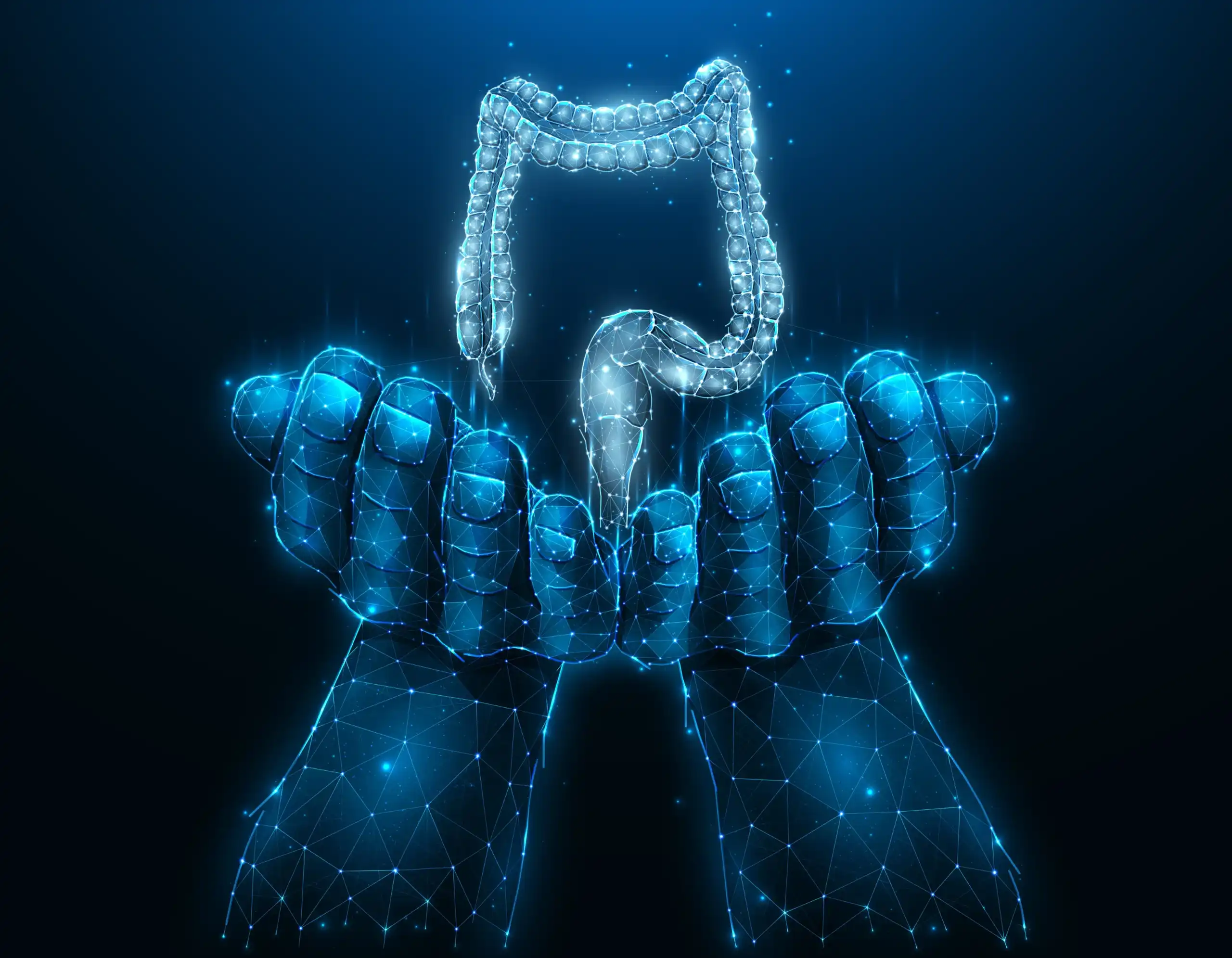 Enhance your digestion with our Digestive Supplement