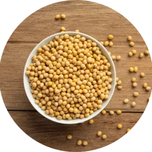 Amylase
