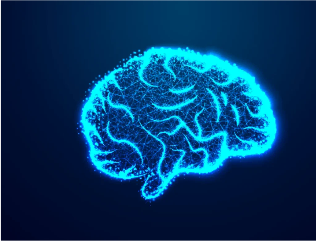An image of a human brain on a bluish background
