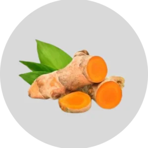 Turmeric Rhizome
